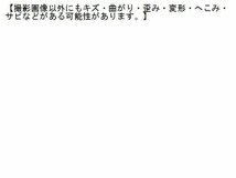 2UPJ-98301014]ルノー・カングー(KWH5F)フロントバンパーホースメント 中古_画像3