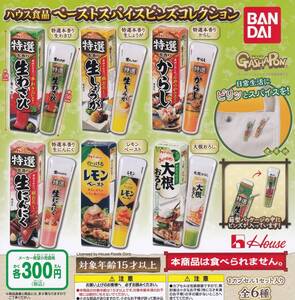 ハウス食品 ペーストスパイスピンズコレクション 全6種セット