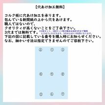 c3058【2枚set】 コルク樹皮 コルク板 バージンコルク 15×20cm 送料/穴あけ無料 　 チランジア　ビカクシダ　着生ラン　両生類　爬虫類_画像9