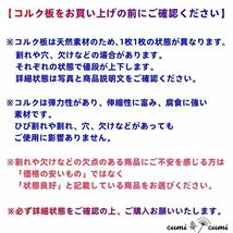 c196【2枚セット】 コルク樹皮 コルク板 バージンコルク 20×30cm 穴あけ/送料無料　チランジア　ビカクシダ　着生ラン　両生類　爬虫類_画像9