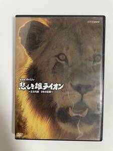 1 22 ☆ 悲しき雄ライオン　☆ 王交代劇 9年の記録　NHK スペシャル　DVD