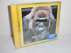 2306-2232◆新品 ナショナル・ジオグラフィック DVD 都会に生きるゴリラ