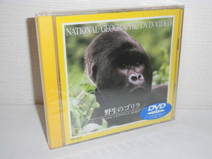 2306-2233◆新品 ナショナル・ジオグラフィック DVD 野生のゴリラ