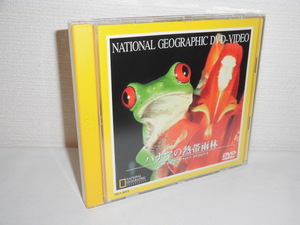 2306-2267◆ナショナル・ジオグラフィック DVD パナマの熱帯雨林