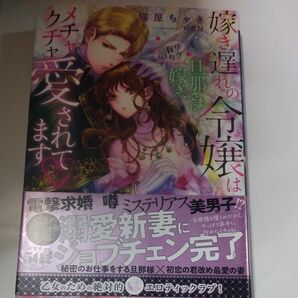 嫁き遅れの令嬢はワケ有りの旦那さまに嫁ぎ、メチャクチャ愛されてます （蜜猫Ｎｏｖｅｌｓ） 猫屋ちゃき／著tl小説