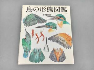 鳥の形態図鑑 赤勘兵衛 2401BKR117