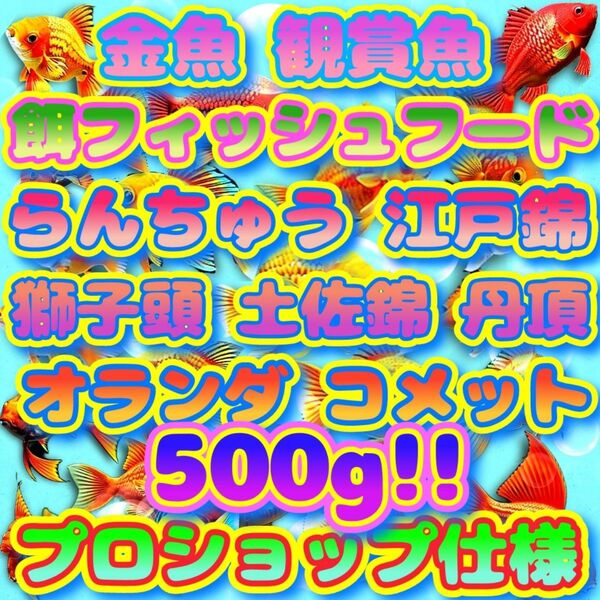 らんちゅう金魚 餌 大盛500g!! エサ プロ仕様 フィッシュフード ブリーダーショップ水族館使用 江戸錦 獅子頭 丹頂 土佐錦