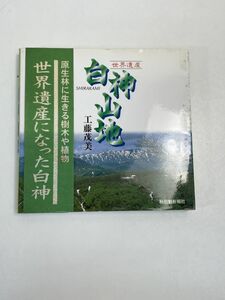 書籍　世界遺産　白神山地　写真　自然　うつくしい自然　平成10年【H71766】