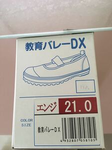 教育シューズ☆上履き バレーDX 21.0cm キッズ★エンジ(レッド)未使用品★★