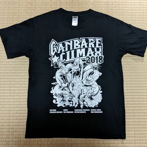 ガンプロ☆プロレス　ガンバレ☆クライマックス2018　記念Ｔシャツ　Ｓサイズ