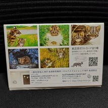 ツシマヤマネコのシマ　紙芝居ポストカード　動物　対馬_画像2