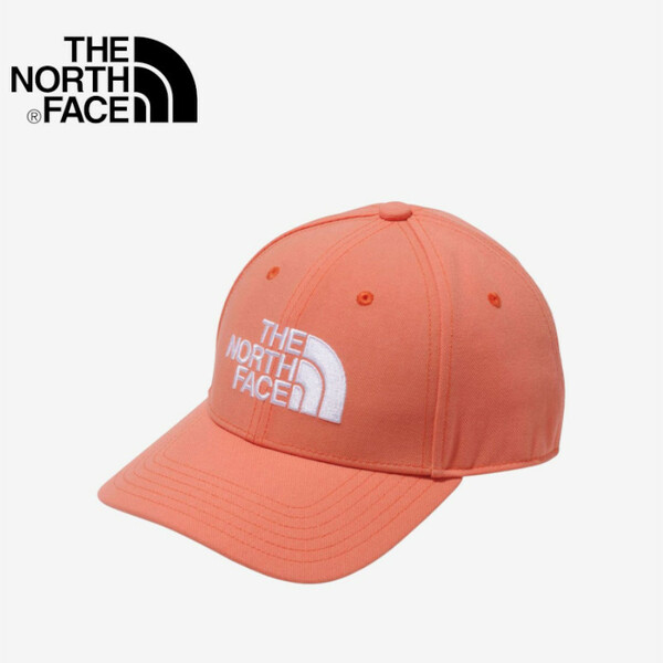 【G-81】　THE NORTH FACE　ノースフェイス　TNFロゴキャップ（ユニセックス）　NN42242 カラー：DO　サイズ：F