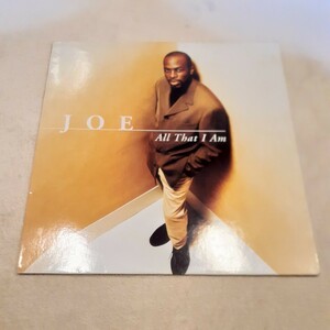 JOE ALL THAT I AM / SANCTIFIED GIRL (REMIX)/R&B,HIP HOP SOUL,STREET SOUL