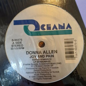 DONNA ALLEN / JOY AND PAIN /80'S R&B,NEW JACK SWING,BOOGIE,GARAGE HOUSE/MAZE カバー