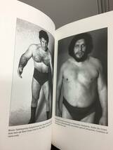 入手困難　英語洋書　リングサイド　アメリカのプロレスの歴史　Ringside: A History of Professional Wrestling in America　hm2402_画像7