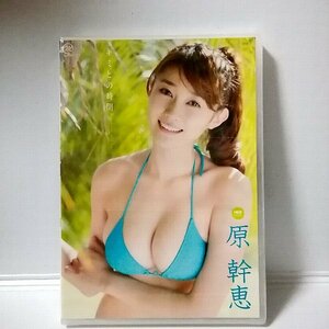 新品 DVD 原幹恵【キミとの時間】MMR-370