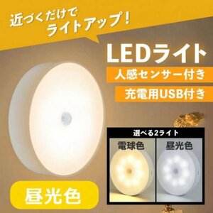 センサーライト 室内 人感 LED 廊下 天井 USB 明暗 白色216