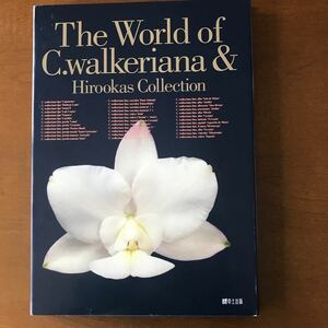 The World of C. walkeriana & Hirookas Collection