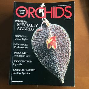 AOS ORCHIDS 2003年1月号〜2004年12月号　計24部