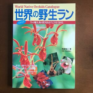 世界の野生ラン　世界の野生ランの原種380余点を一挙掲載