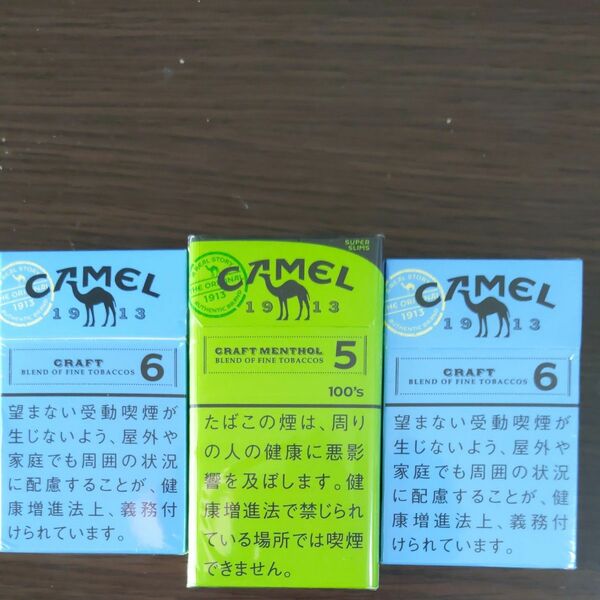 CAMELQRコード　【100枚】