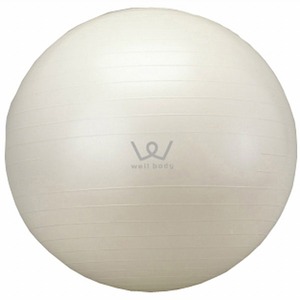 アルインコ(ALINCO) エクササイズボール ホワイト 65cm WBN065