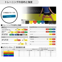 D＆M/ディーアンドエム セラバンド ループ ブルー 強度レベル＋2 TLB4_画像2