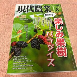 現代農業　2020年8月 農山漁村文化協会　極める！楽しみ果樹パラダイス