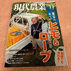 現代農業　2020.11月号　農家の手ワザ　 ヒモ&ロープ