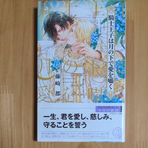 騎士王子は月の下で愛を囁く/藤崎都