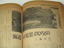 別冊新評 安岡章太郎の世界 (昭和49)/ 開高健 小島信夫 阿部昭 三浦朱門 安岡由喜 作品の系譜 ほか_画像9