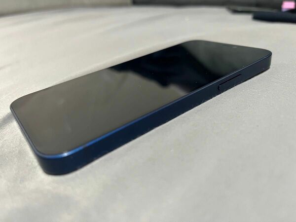 iPhone 12 miniカラー:ブルー　128 GB SIMフリー　最終値下げです