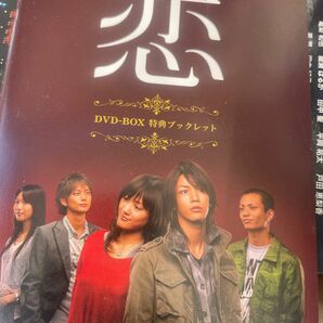 DVD たったひとつの恋 亀梨和也 綾瀬はるか 平岡祐太