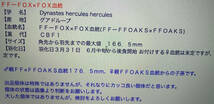 OAKS × HirokA 　ヘラクレス・ヘラクレス成虫　メス 72.5mm（オークス・ヒロカ）【ヘラクレスオオカブト】〈カブトムシ〉_画像4