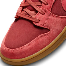 ☆NIKE SB DUNK LOW PRO PRM 淡赤/薄灰/ガム 29.0cm ナイキ エスビイ ダンク ロウ プロ プレミアム DV5429-600_画像6