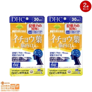 DHC イチョウ葉 脳内アルファ 90粒/30日分 イチョウ葉エキス食品 2個セット 送料無料の画像1