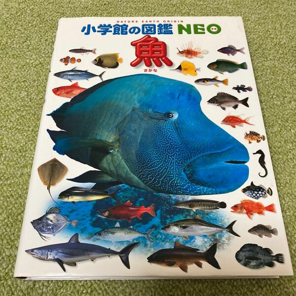 魚 （小学館の図鑑ＮＥＯ）