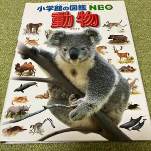 動物 （小学館の図鑑ＮＥＯ） 