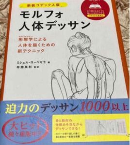 モルフォ人体デッサン 形態学による人体を描くための新テクニック