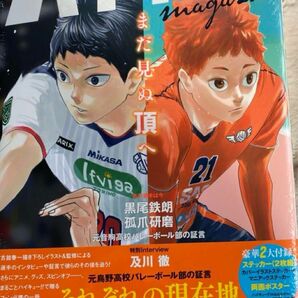 ハイキュー！！ｍａｇａｚｉｎｅ　ＶＯＬＬＥＹＢＡＬＬ　ＩＳ　ＦＵＮ！！