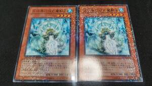 遊戯王　字レア　DT02-JP016　氷結界に住む魔酔虫　２枚セット　イタミ有り