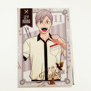 【新品/数2】ハイキュー ココス 灰羽 リエーフ カード 箔入り 描き下ろし イラストカード