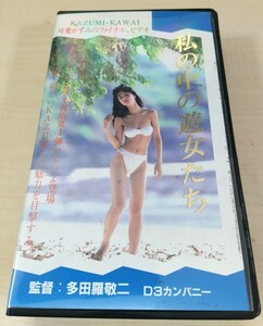 VHSビデオ 可愛かずみ 私の中の遊女たち 可愛かずみのファイナルビデオ レア 美品 動作確認品 