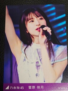 菅原咲月　乃木坂46 11th YEAR BIRTHDAY LIVE 完全生産限定盤 DVD / Blu-ray 封入特典 トレーディングカード