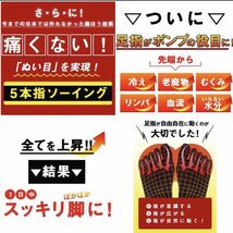 半額以下 超激安 大山式 5本指タイツ 4足セット ブラック 30デニール タイツ 黒 冷え対策 美脚 黒タイツ 冷え性 ストッキング 着圧 ギフト_画像8