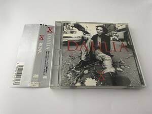 ダリア CD　X JAPAN Hン-02: 中古