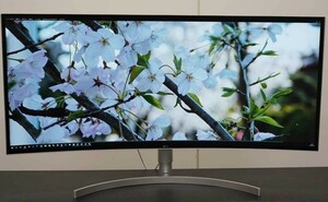 LG モニター モニター ディスプレイ 37.5インチ 曲面 UltraWide 3840×1600 USB Type-C HDMI×2 高さ調節 38WK95C-W