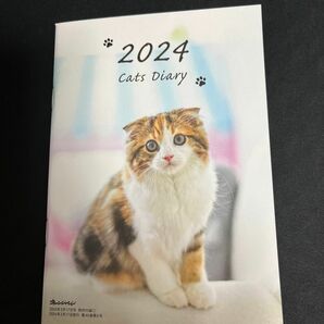 2024 cats Diary