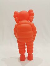 KAWS WHAT PARTY ORANGE_画像7