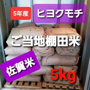 令和5年産棚田育ちのヒヨクモチ5kg 新米1